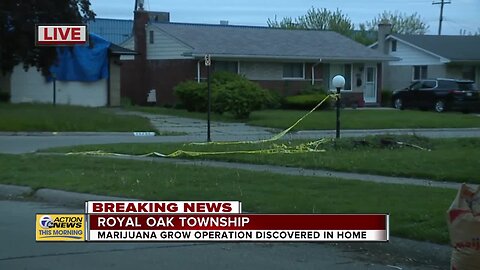 Marijuana grow operation discovered in Royal Oak Township home