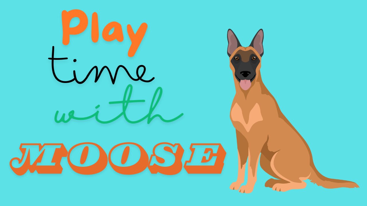 PLAYTIME WITH MOOSE