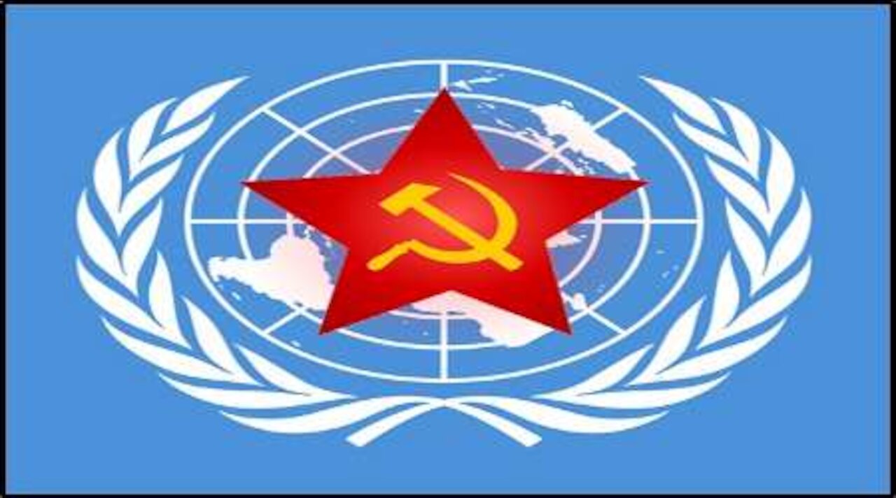 Massive Gun Grab Coming and Institution of U.N. Policing Force