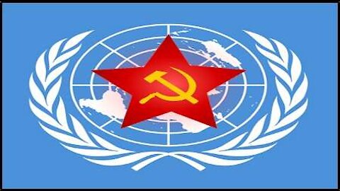 Massive Gun Grab Coming and Institution of U.N. Policing Force