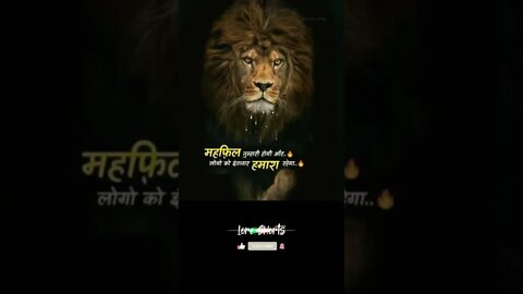 motivational Quotes Intresting Facts lifestyle #shorts #ytshorts #lion
