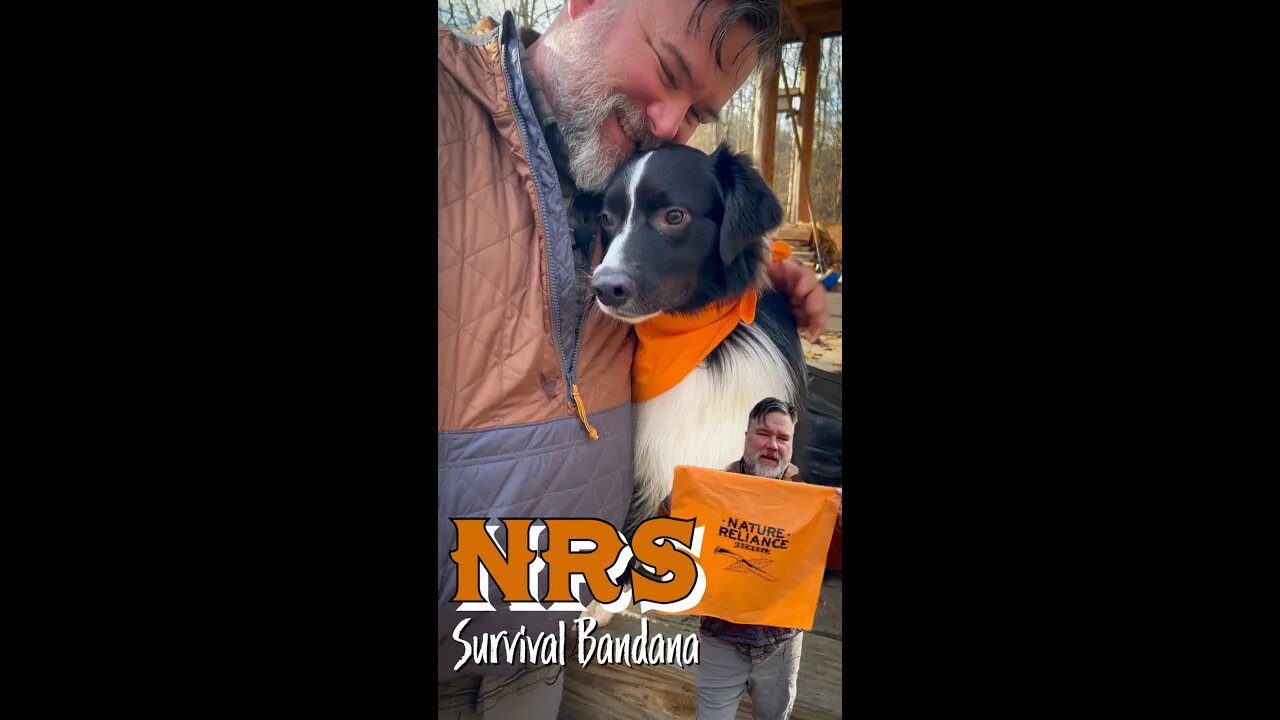 How to Tie a Bandana for Survival! #shorts #bandana #rescue #dog