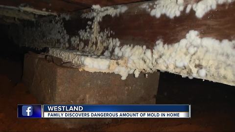 Family discovers dangerous amount of mold in metro Detroit home