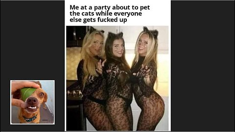 Memes That Will 99.987% Make You Laugh. (e212)