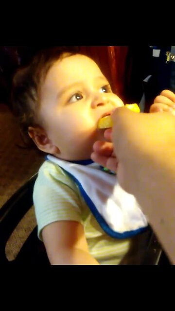 Baby tries lemon, actually enjoys it
