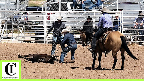 Maverick Branding - Rail 3 Ranch Rodeo