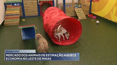 Mundo Pet: Mercado dos Animais de Estimação aquece Economia no Leste de Minas.