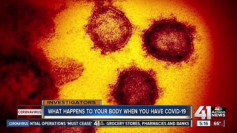 What happens to your body when you have COVID-19