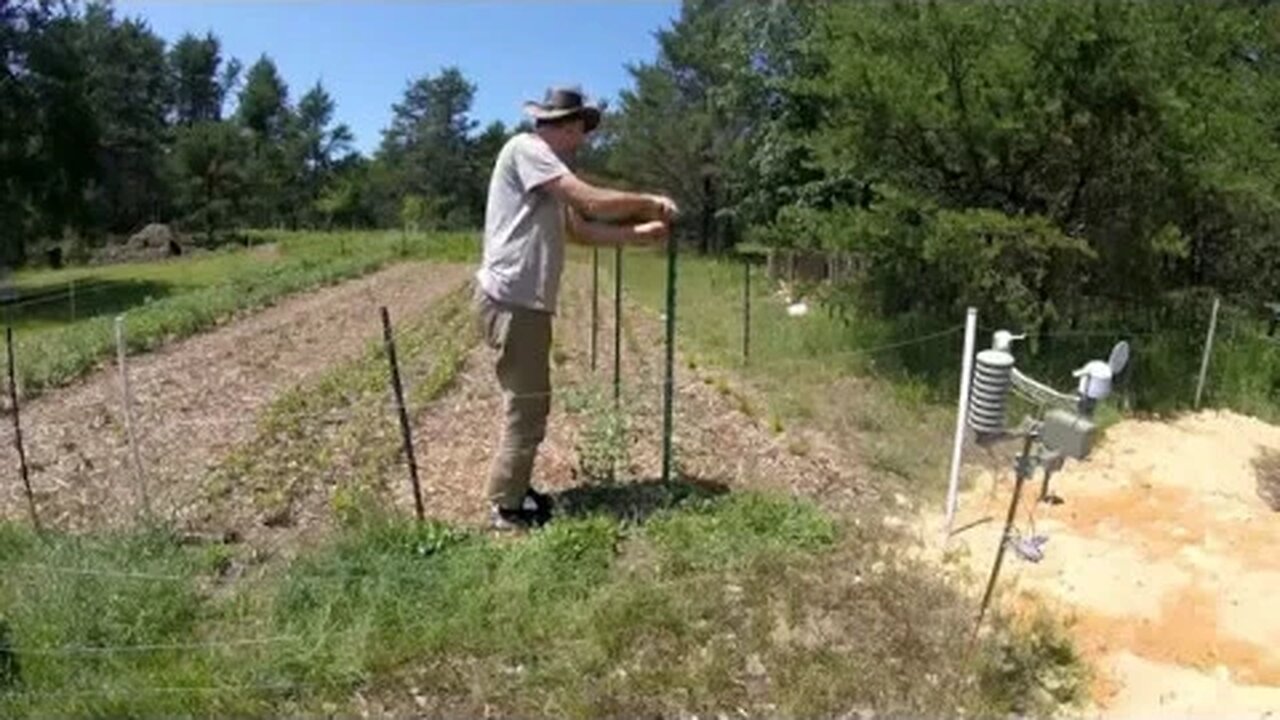 Busy Day At The Nearly Off Grid Homestead