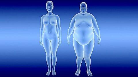 What is diet plan