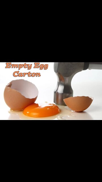 The Hammer And The Egg