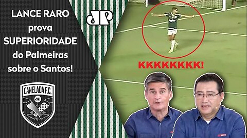 "Gente, OLHA ISSO! O Palmeiras..." LANCE RARO CHAMA A ATENÇÃO e PROVA SUPERIORIDADE contra o Santos!