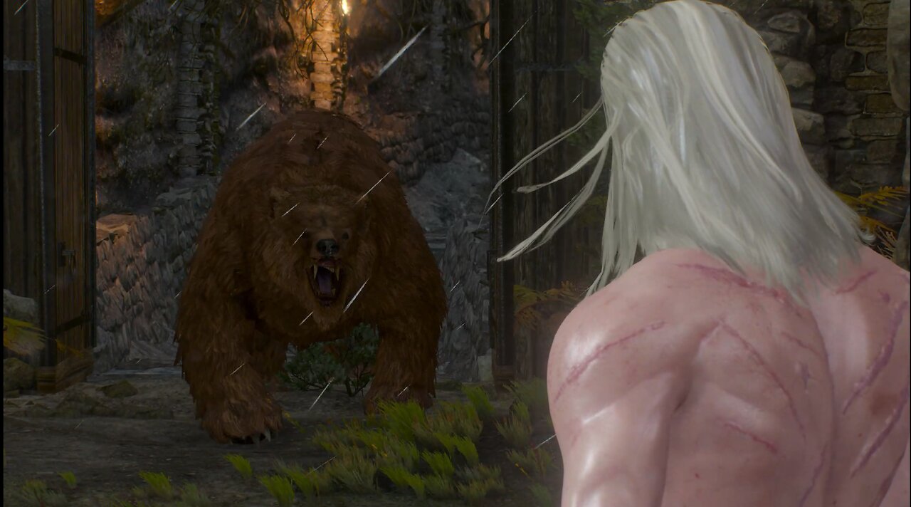 The Witcher 3 fist of fury olaf bear