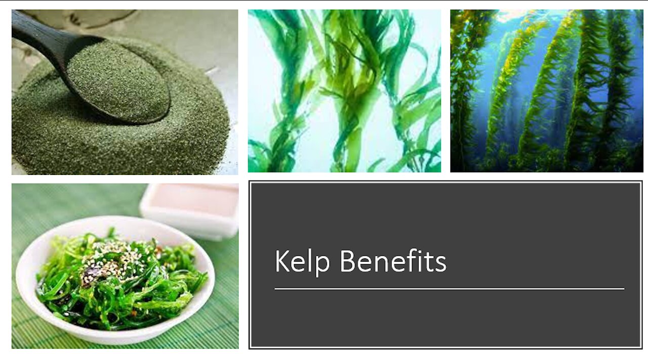 Kelp Benefits