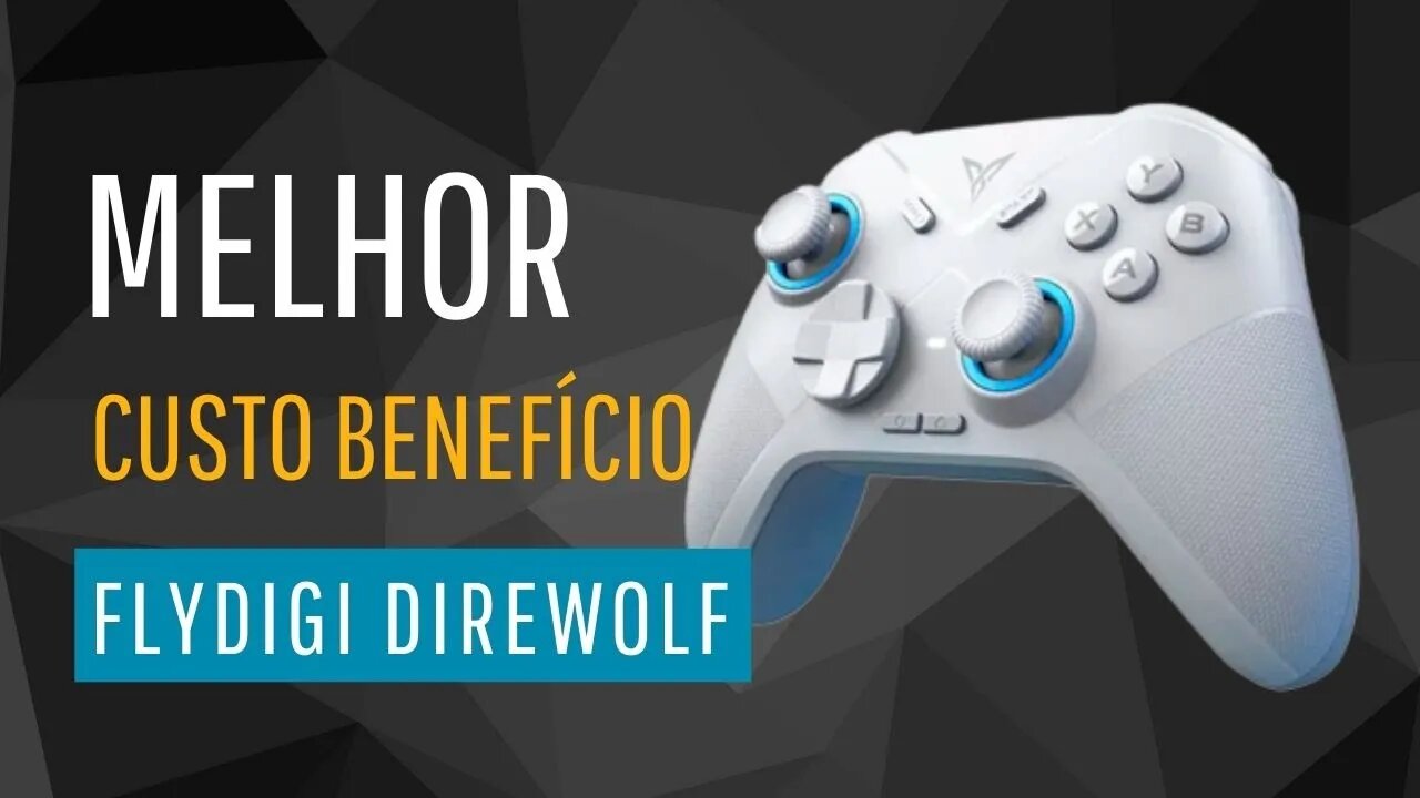 Flydigi Direwolf - Ótimo custo benefício, controle multi plataforma! FUNCIONA ATÉ NO PS2!