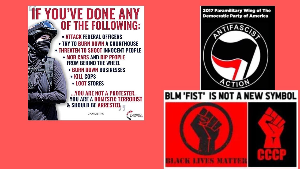 The Summer Of "Love" That The Media Hid From You!