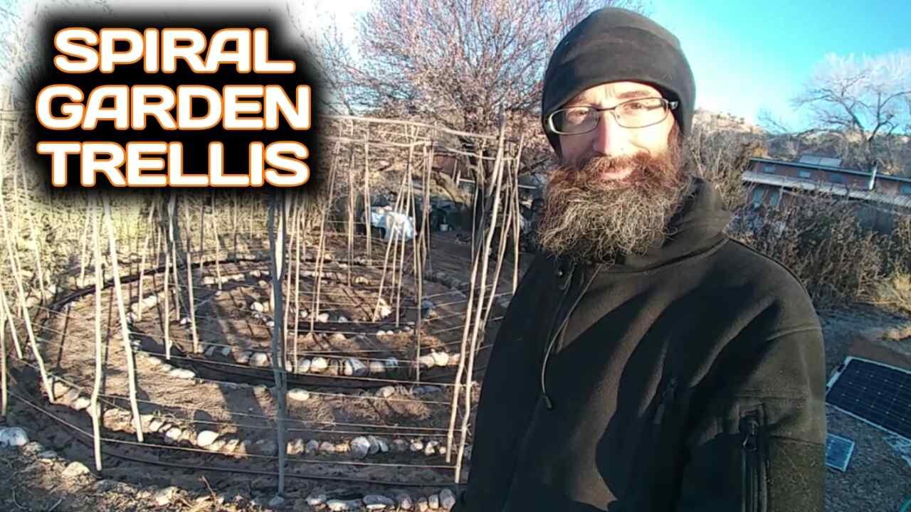 Spiral Garden Trellis