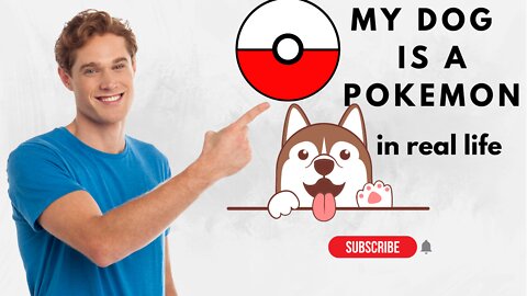 My dog ​​is a pokemon in real life / Dog videos