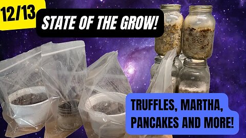 State of the Grow! (12/13): Martha, Truffles, Bag Fruiting, PooCakes and More!