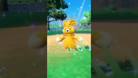 ⚡ EVOLUCIONA PAWMO A PAWMOT EN POKÉMON ESCARLATA Y PÚRPURA #shorts