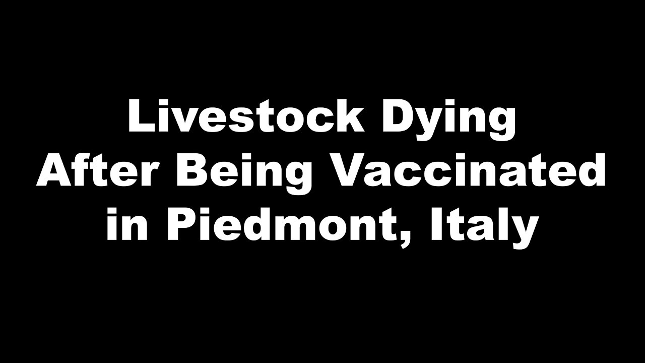 Livestock Dying After Being Vaccinated in Piedmont, Italy