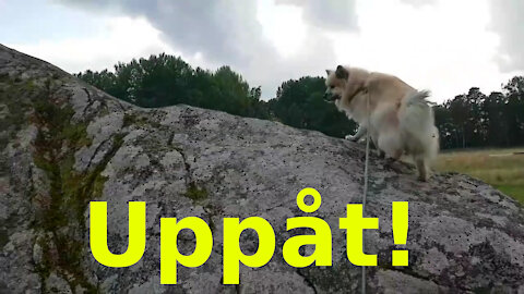 Uppåt-rörelsen