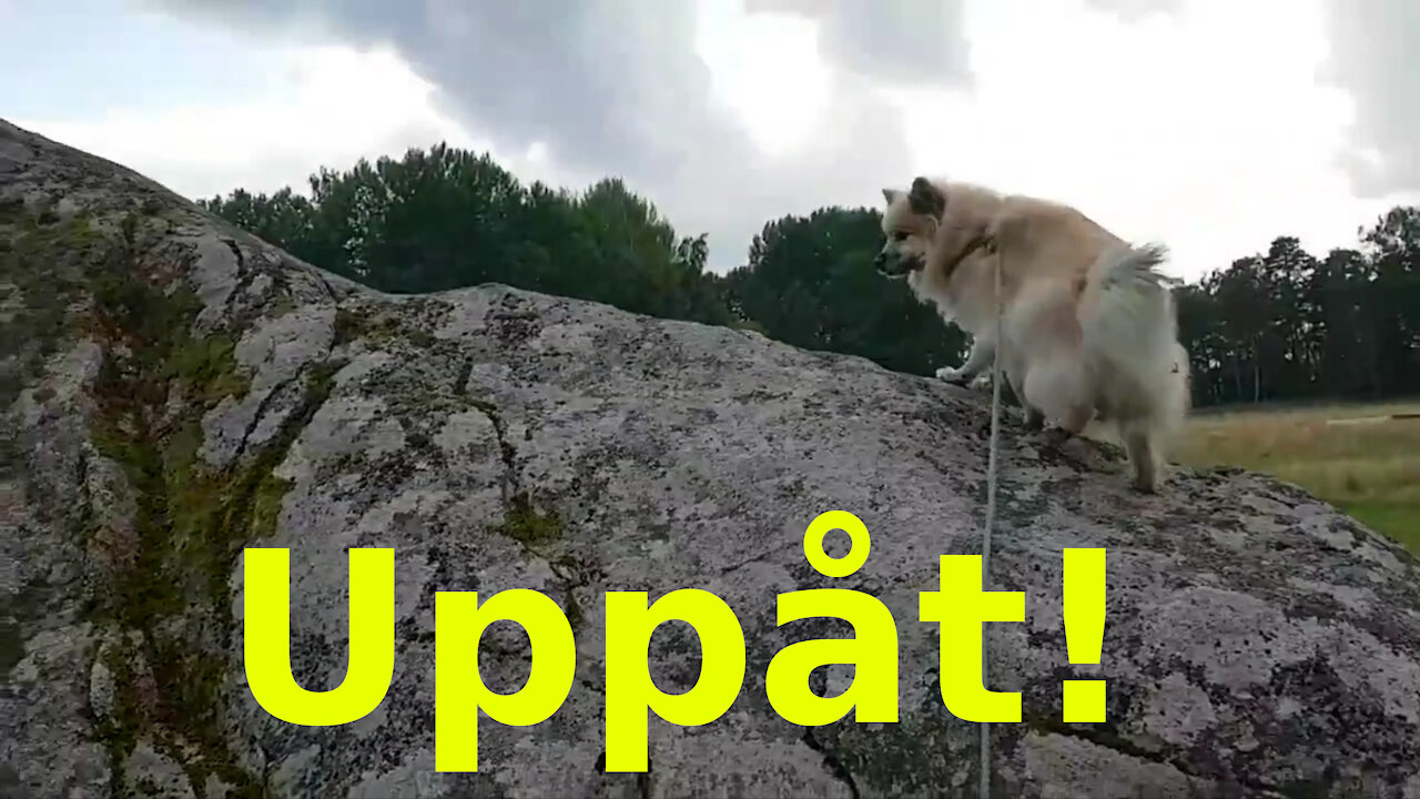 Uppåt-rörelsen