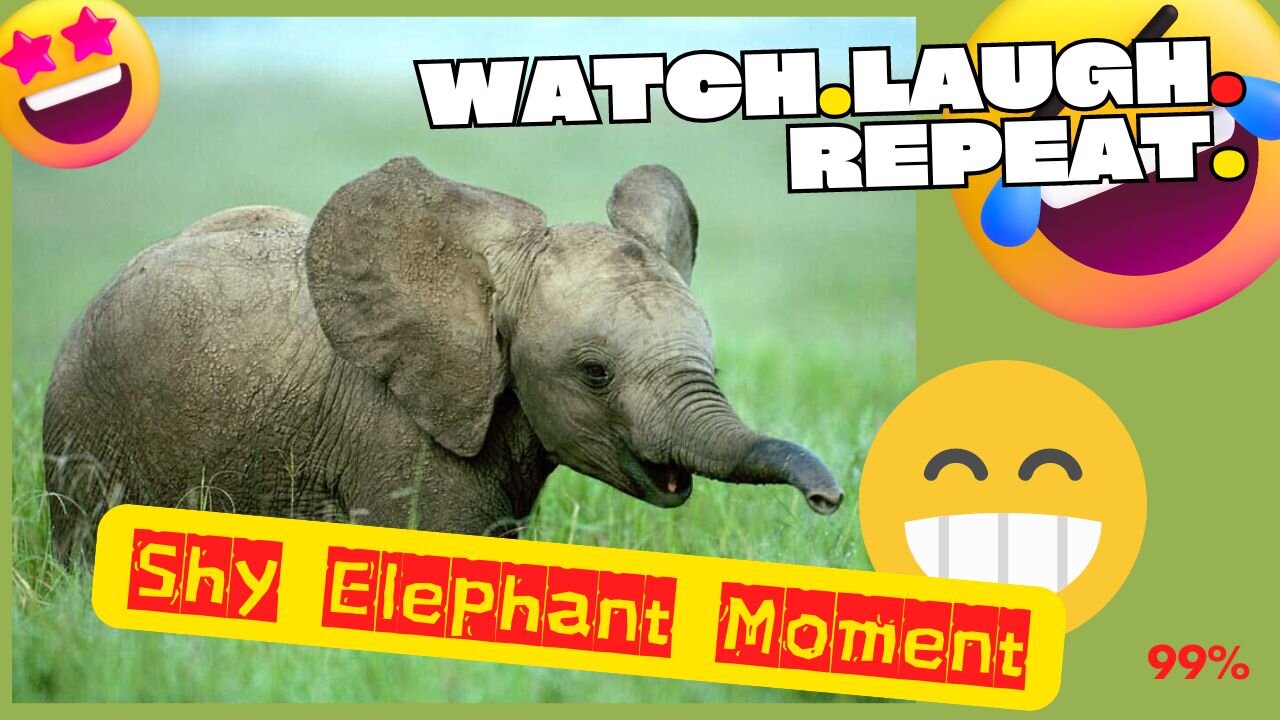 Elephant's Embarrassing Moment Caught on Cam!