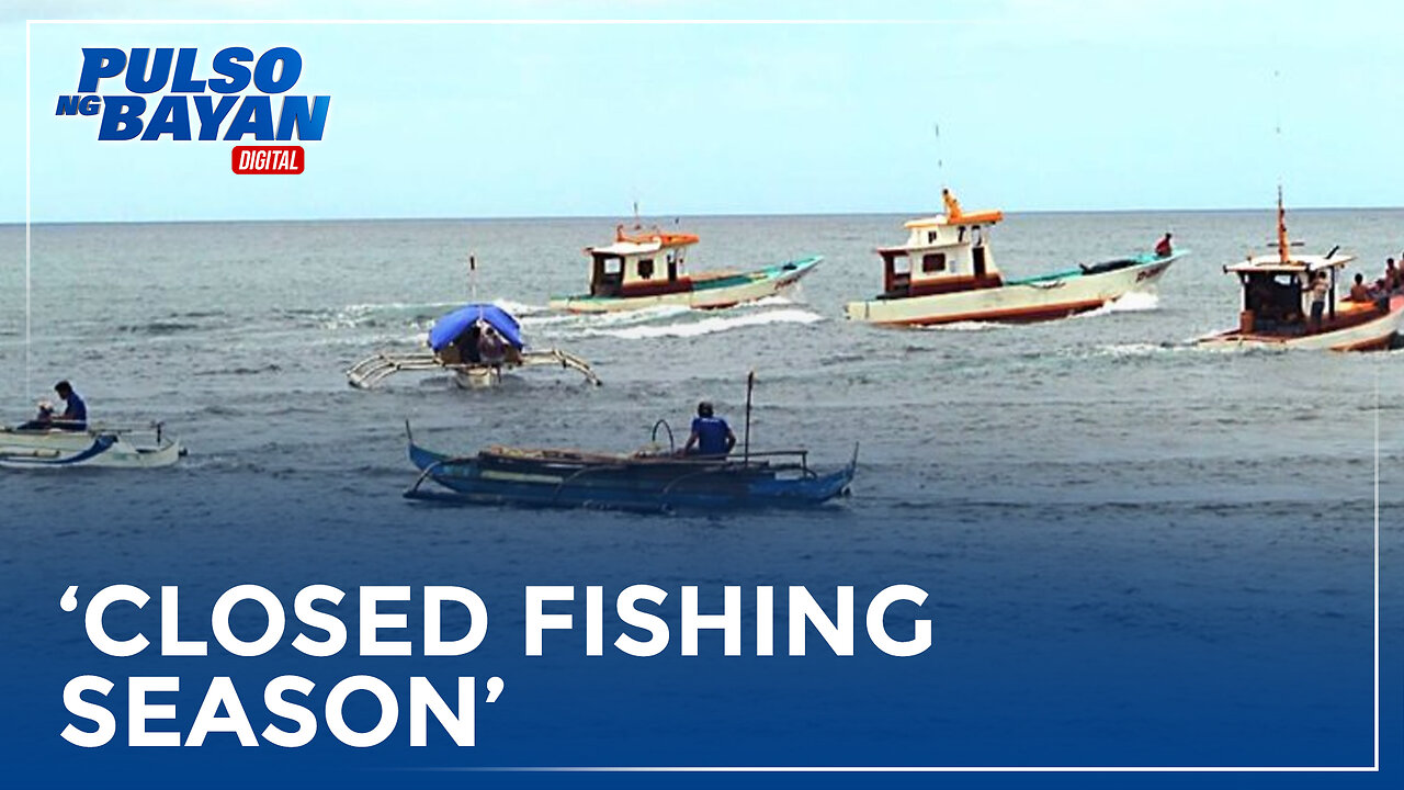 'Closed Fishing Season' sa Palawan, sisimulan na sa Nobyembre