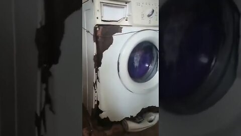 Tiktok Videos | Tavernoftinst | #fyp #short #tiktok #tiktokdance