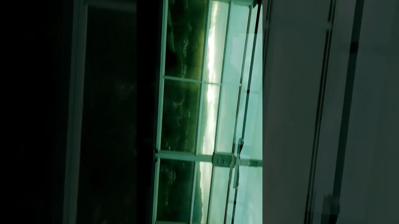 #etsukojunio #etsukofans #fransiscaofficial #teamfransisca #沉连清 #fransisca #fransiscametaworld