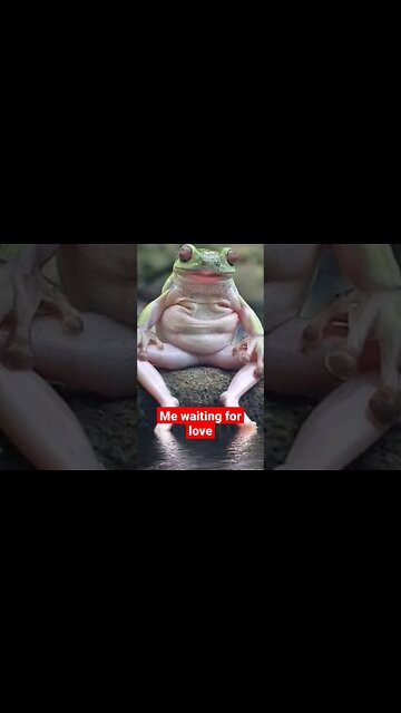 waiting for love... #shorts