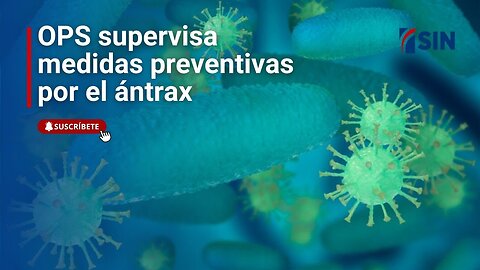 OPS supervisa medidas preventivas por el ántrax