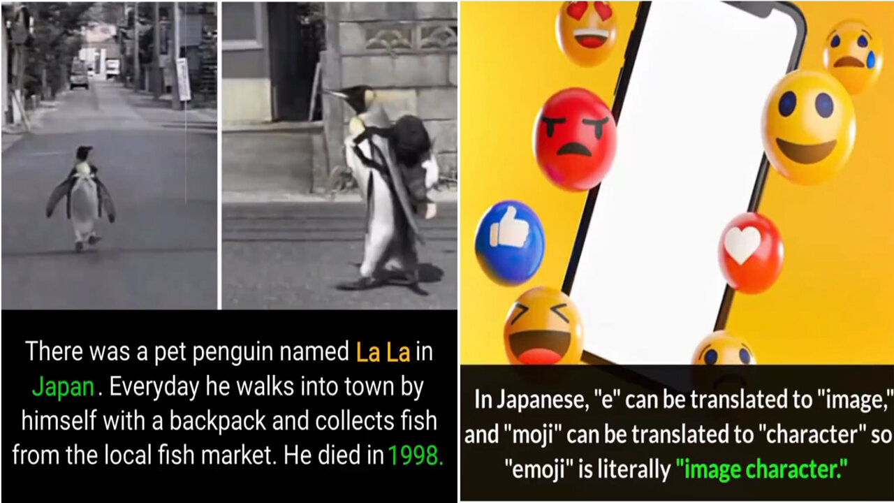 Did You Know Facts|Unknown Facts|Fun Facts|Amazing Facts|Wow Facts|Facts Part #17
