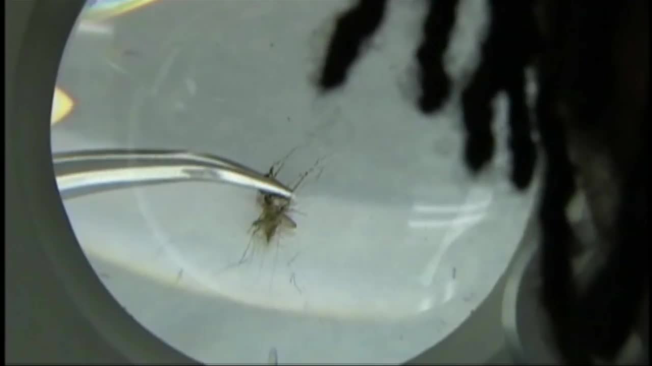 Washtenaw County bird tests positive for West Nile virus