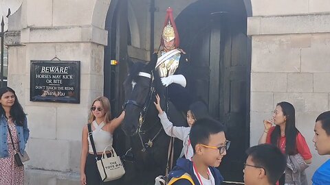 KINGS GUARD SHOUTS AT TOURIST with hands every get off the rein #horseguardsparade