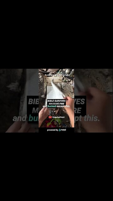 Bible survives MASSIVE house fire #jesus #christianity #bible #god #spirituality