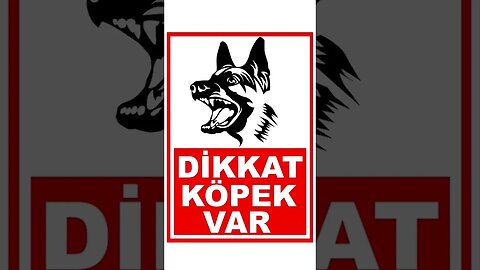 Size bir soru "Dikkat Köpek Var!" tabelası neden var? #shorts #köpek