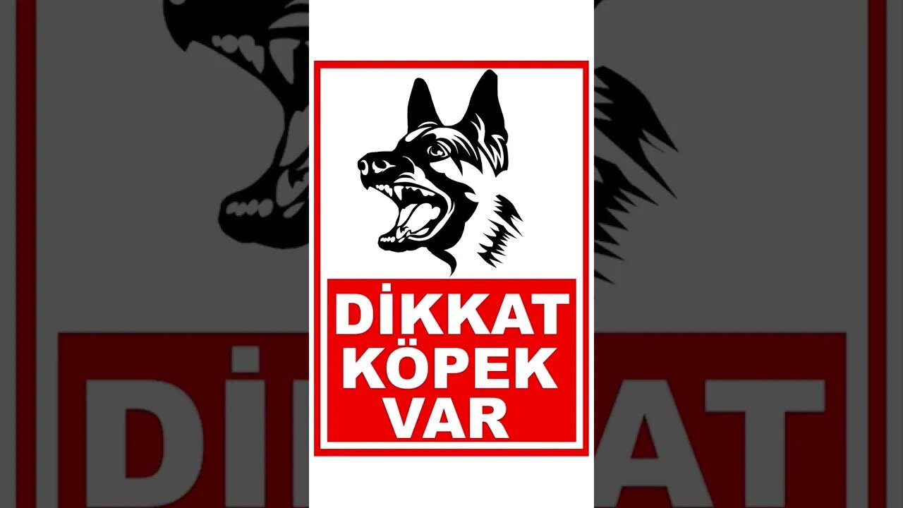 Size bir soru "Dikkat Köpek Var!" tabelası neden var? #shorts #köpek