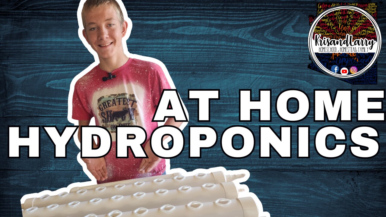 Unboxing and Setting Up Your Own Hydroponics Kit! #hydroponics #DIYgardening