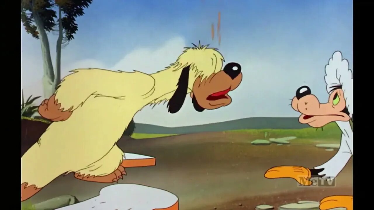 Merrie Melodies - The Sheepish Wolf