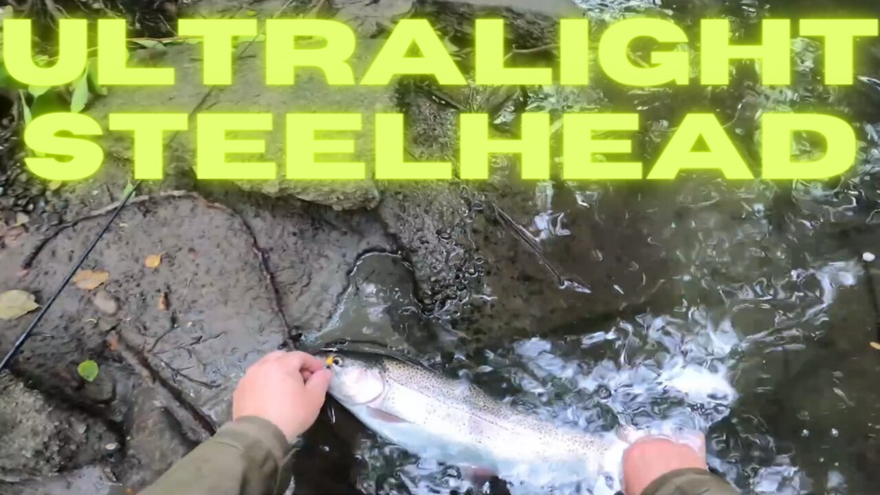 Caught Summer Run Steelhead on Ultralight Trout rod!!!