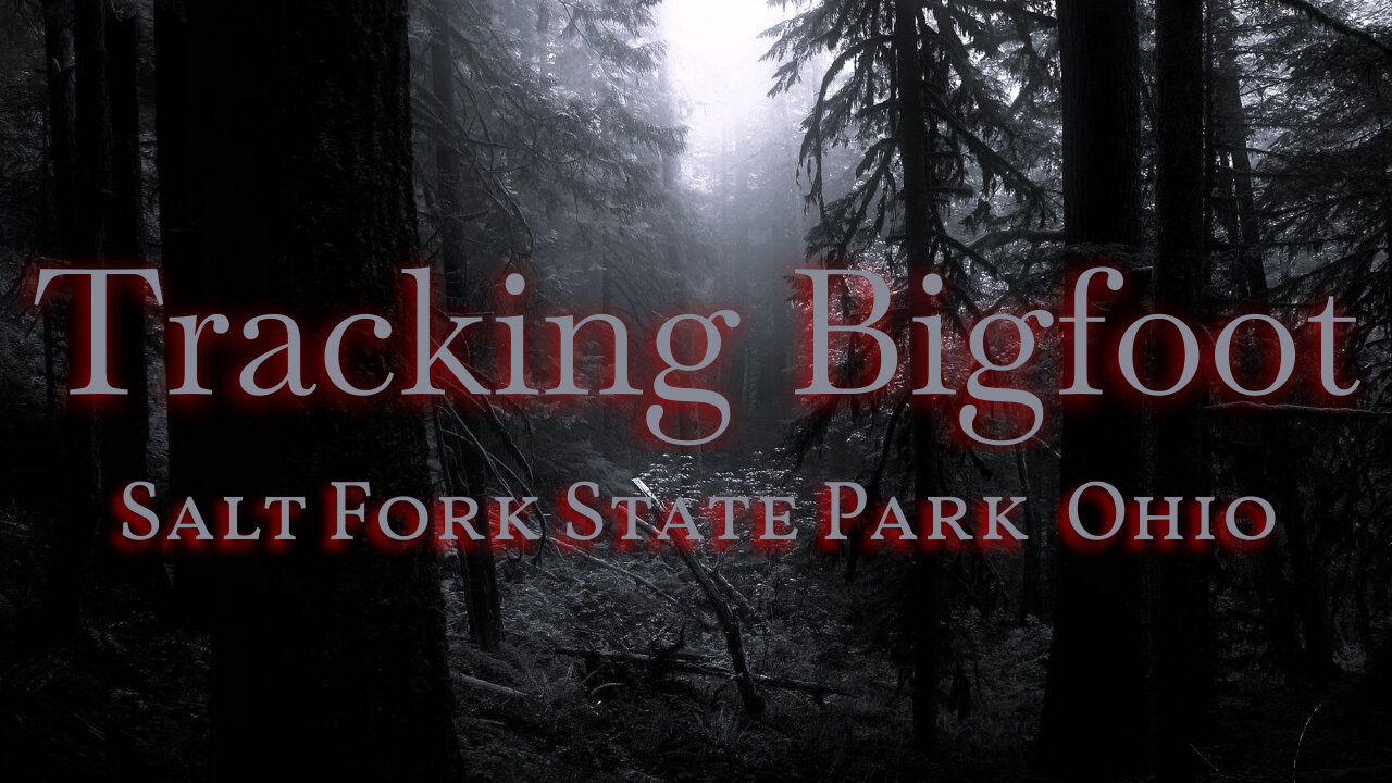 Tracking BigFoot: Salt Fork State Park Ohio