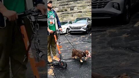 🛴ROLLIN with the DAWGS 🐶 #browns #clevelandbrowns #brownstown #cleveland #tailgate #dawg #brownies