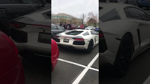 lambo rev