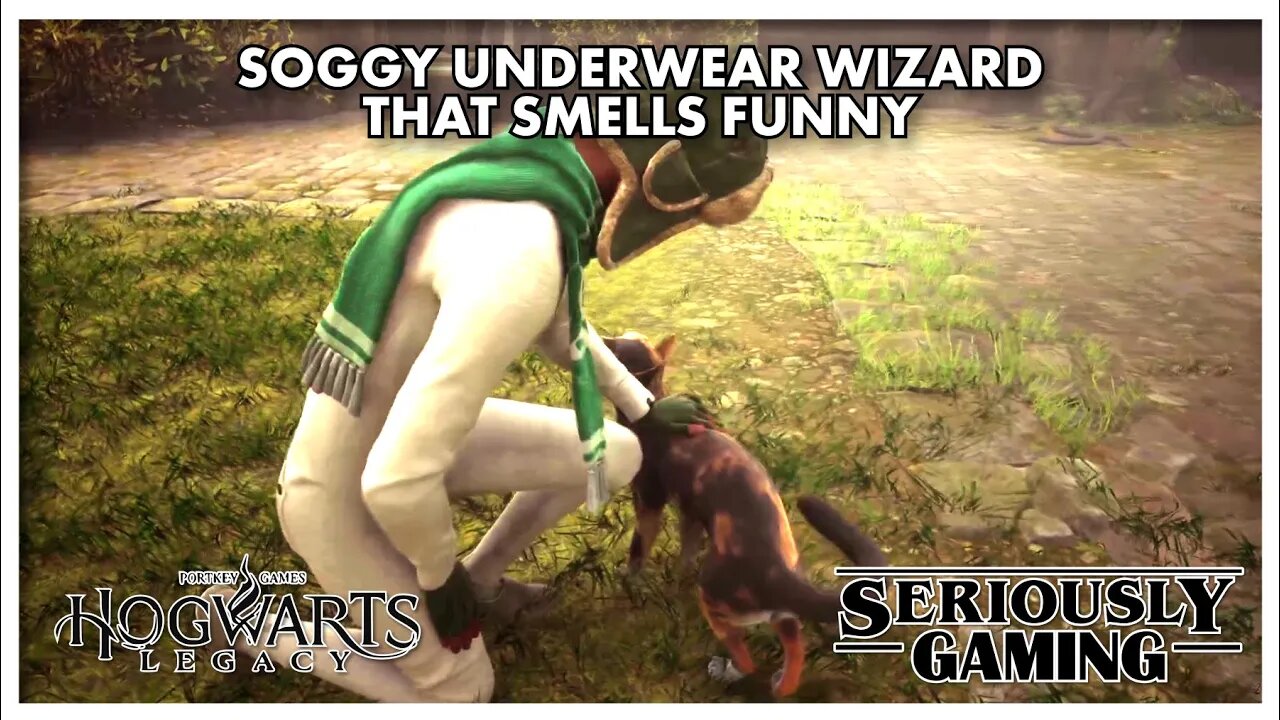 Soggy Underwear Wizard That Smells Funny: "THAT" Wizard game! #hogwartslegacy #hogwarts #jkrowling