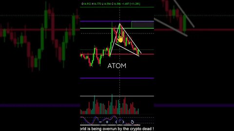 Cosmos is still bullish!