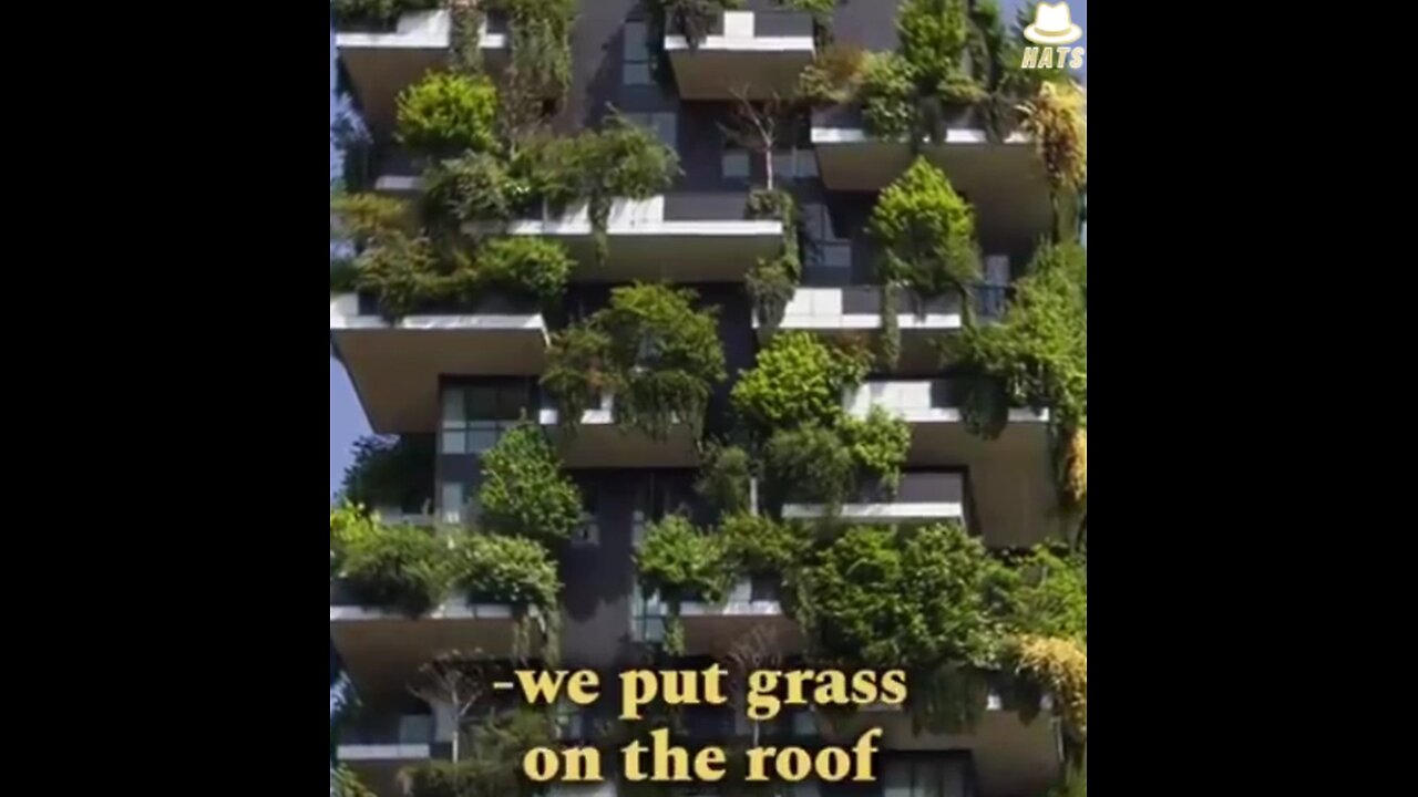 The idea that modern architecture is environmentally friendly is a lie.
