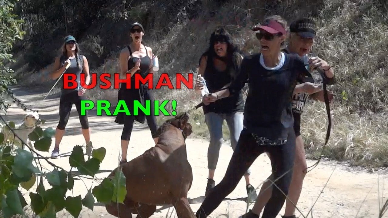 Bushman Scare Prank Compilation! Greatest Scares Ever! #bushman #prank #scare