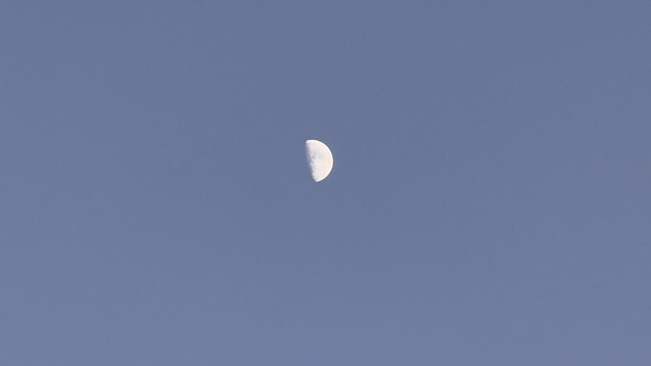 Lovely Half Moon 🌙